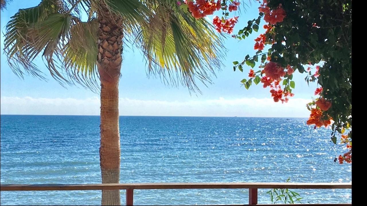 Mijas Costa - Beachside Apartment-B Sitio de Calahonda Екстер'єр фото